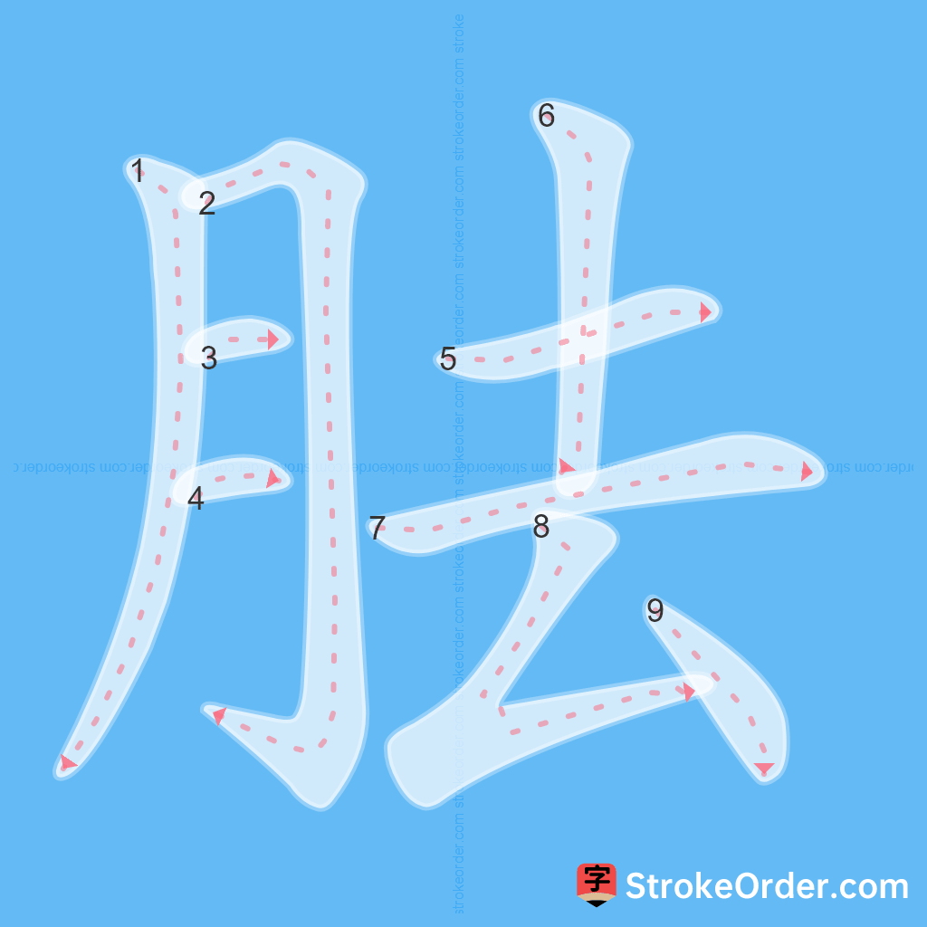 Standard stroke order for the Chinese character 胠
