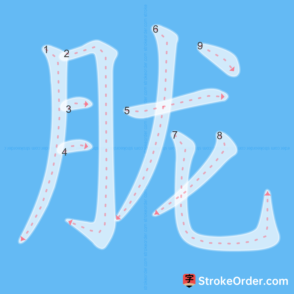 Standard stroke order for the Chinese character 胧