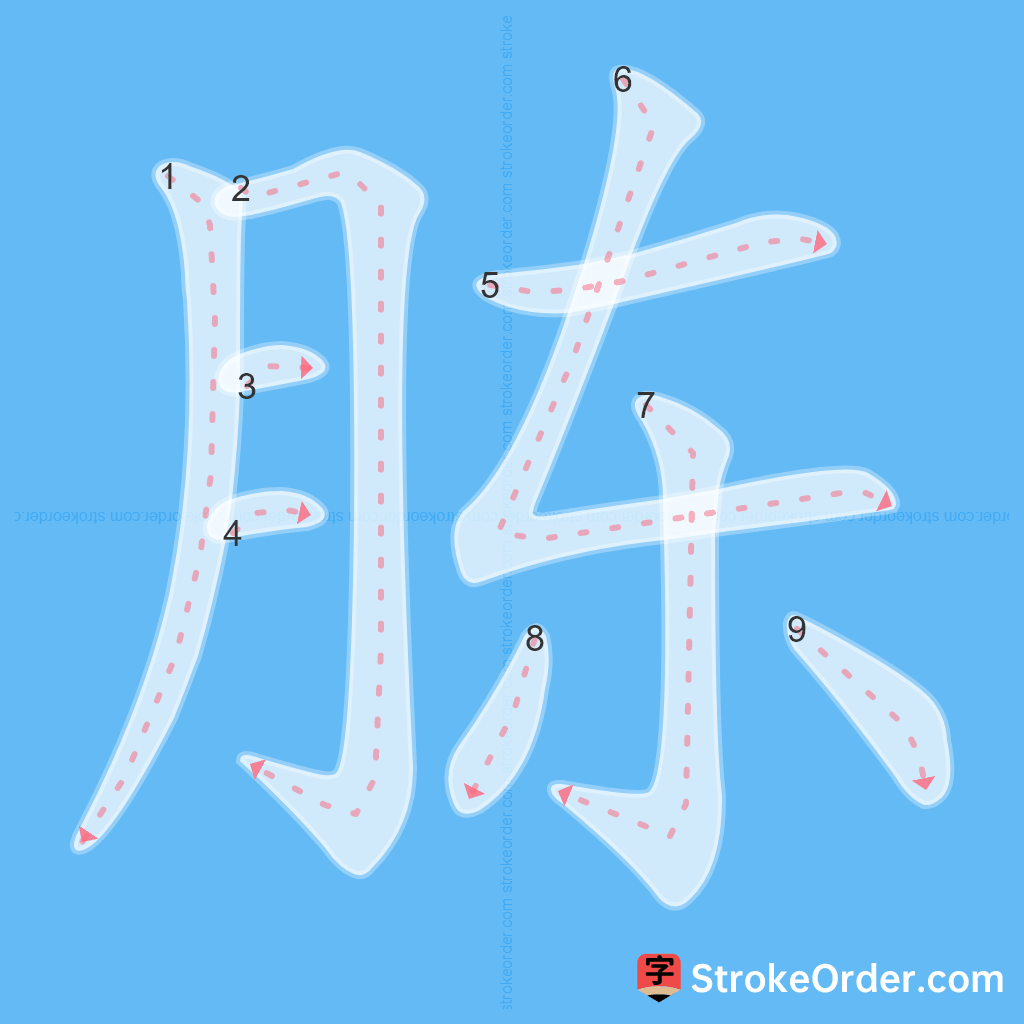 Standard stroke order for the Chinese character 胨