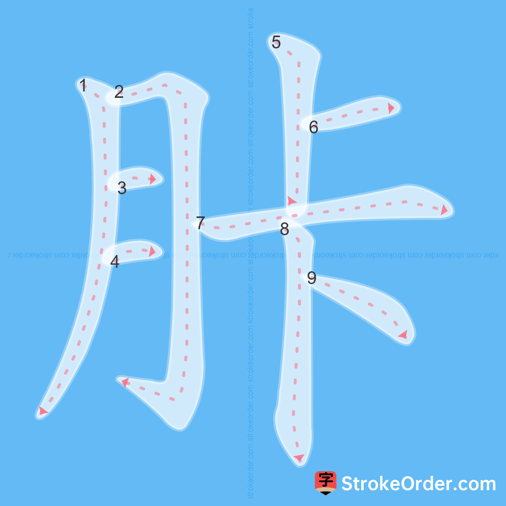 Standard stroke order for the Chinese character 胩