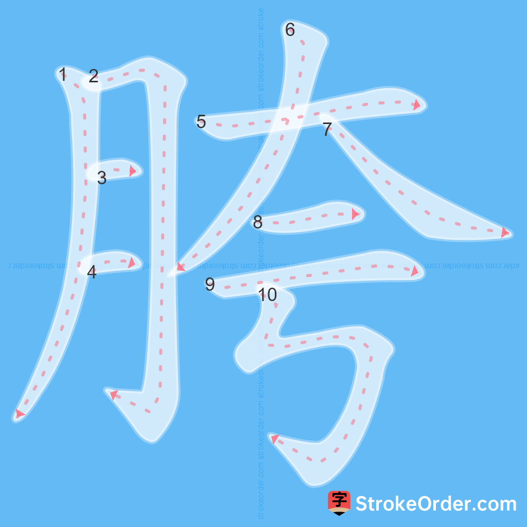 Standard stroke order for the Chinese character 胯