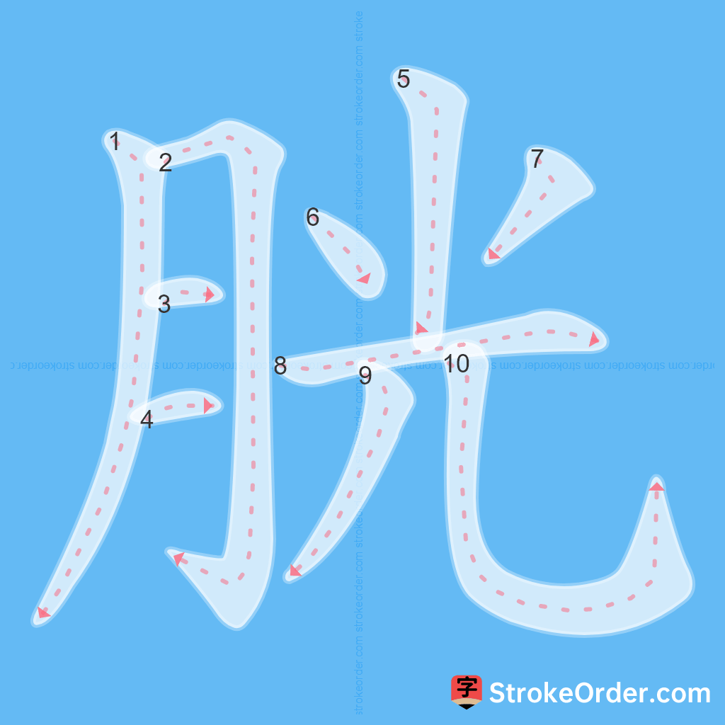 Standard stroke order for the Chinese character 胱