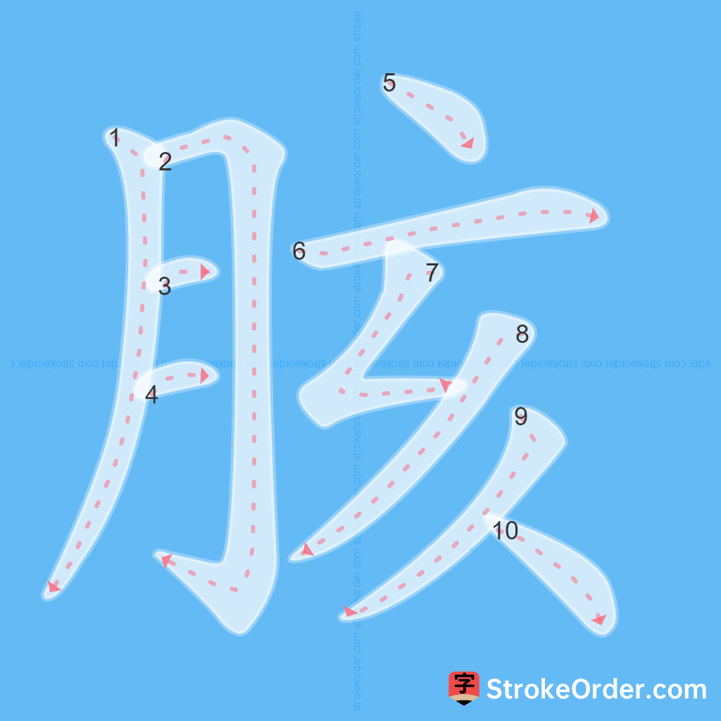 Standard stroke order for the Chinese character 胲