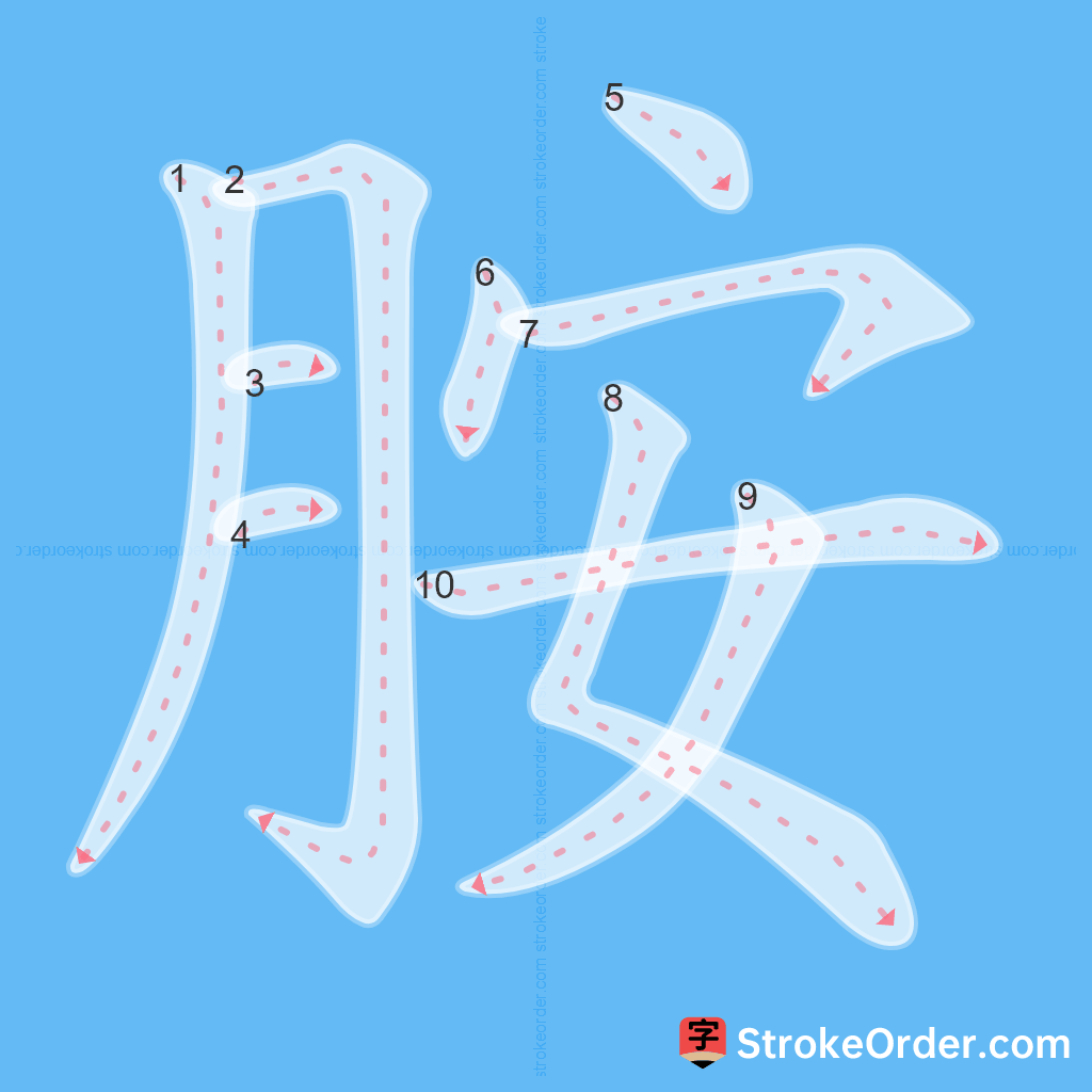 Standard stroke order for the Chinese character 胺