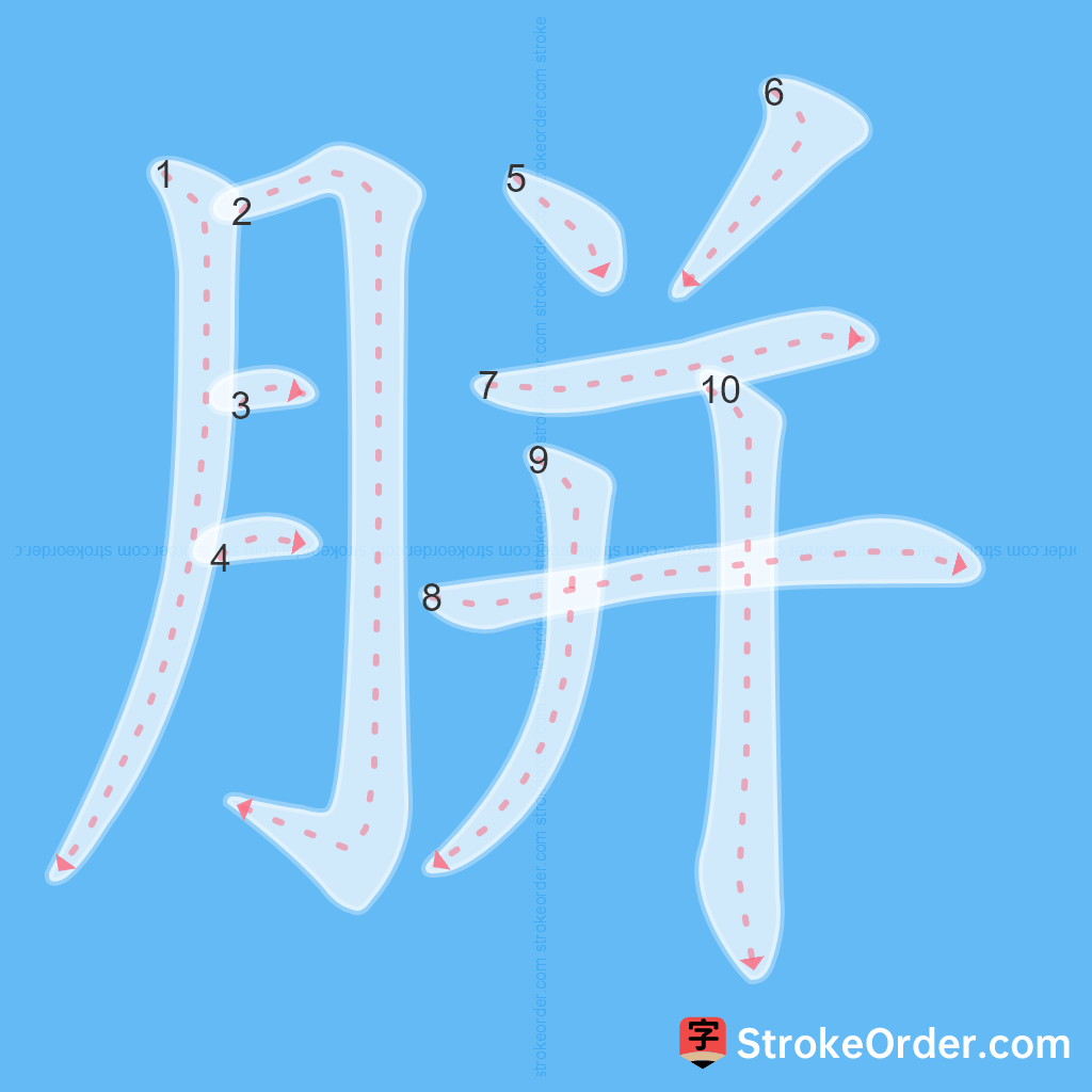Standard stroke order for the Chinese character 胼