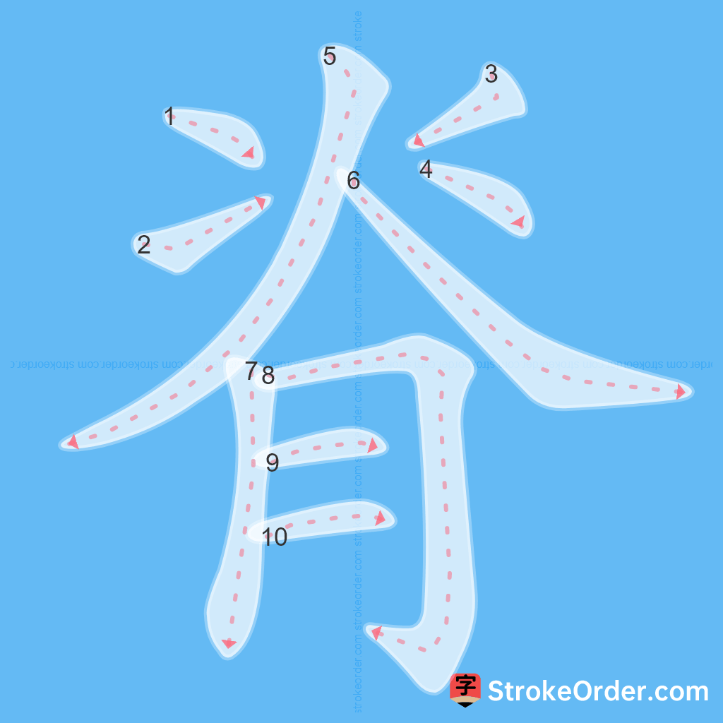 Standard stroke order for the Chinese character 脊