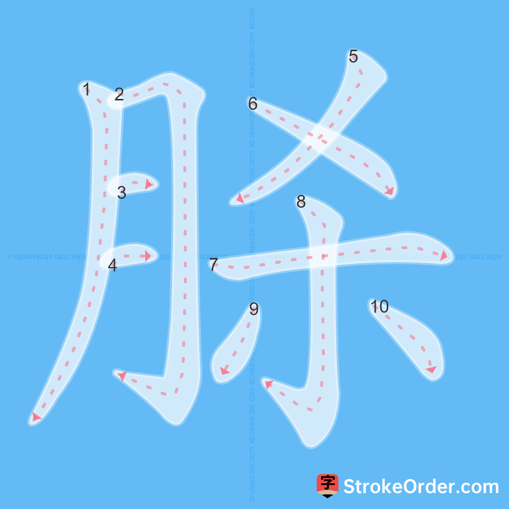 Standard stroke order for the Chinese character 脎