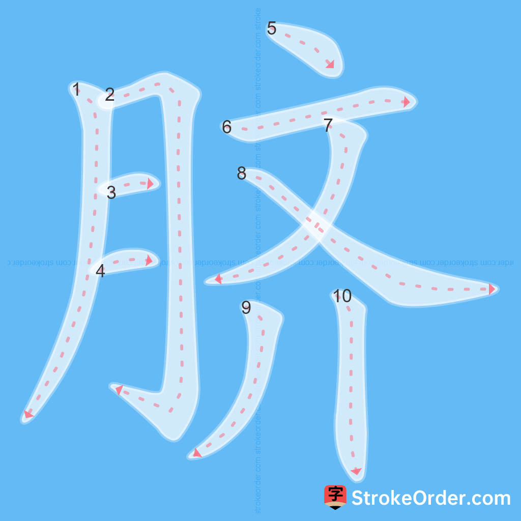 Standard stroke order for the Chinese character 脐