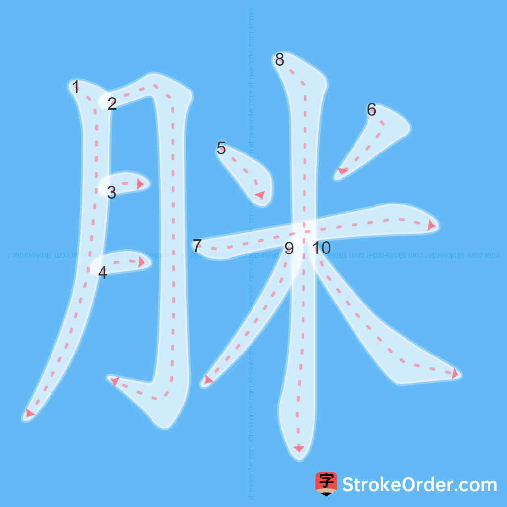 Standard stroke order for the Chinese character 脒