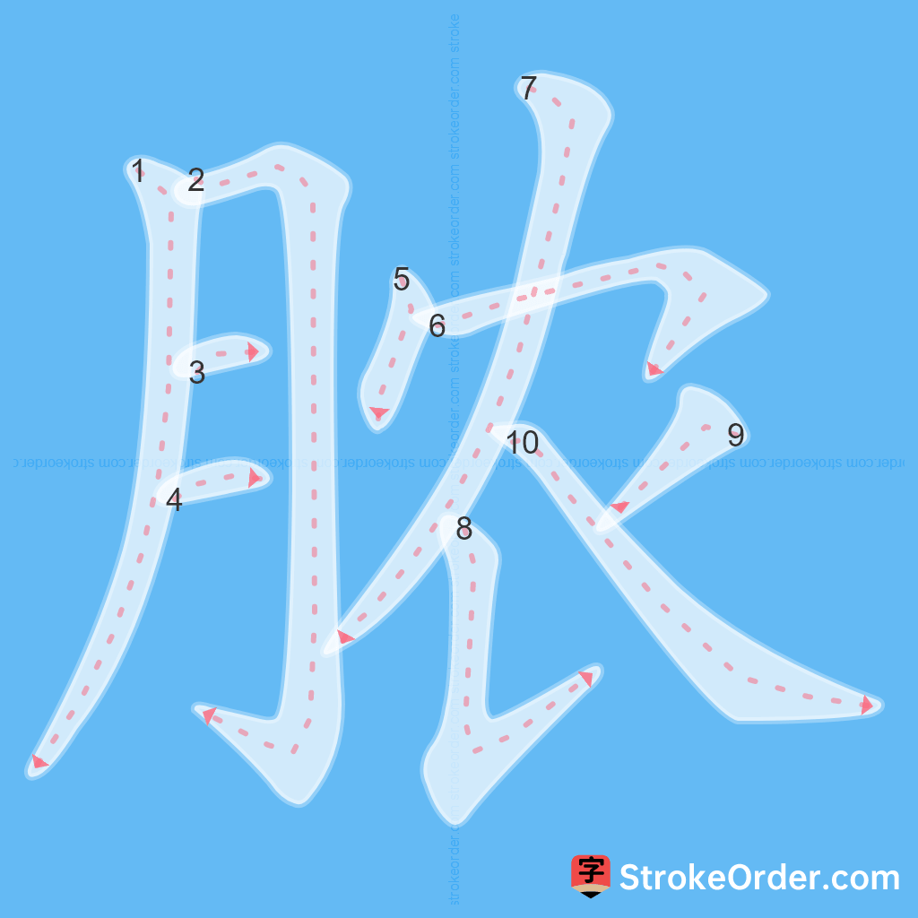 Standard stroke order for the Chinese character 脓