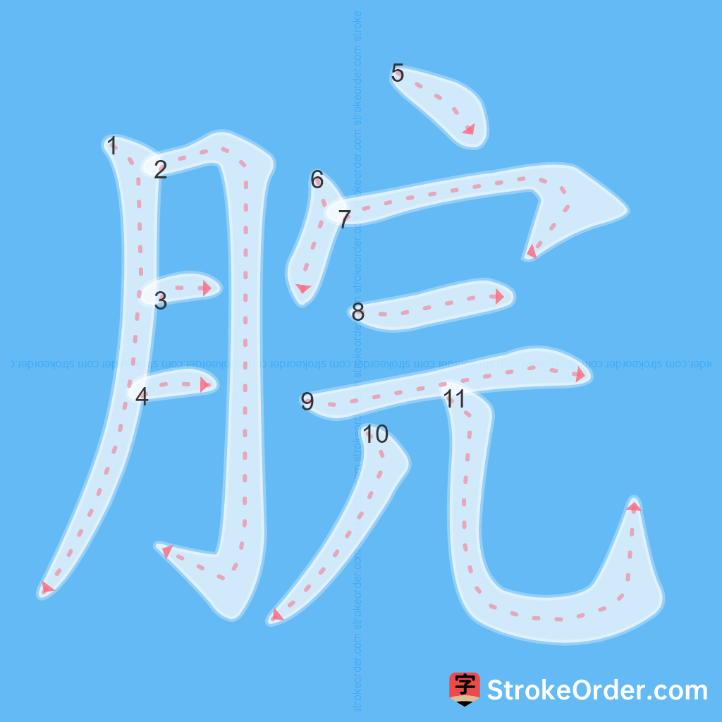 Standard stroke order for the Chinese character 脘