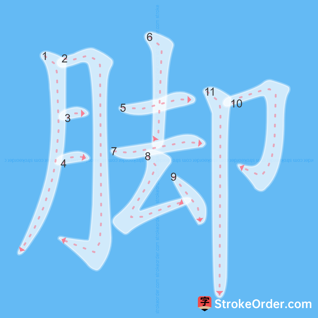 Standard stroke order for the Chinese character 脚