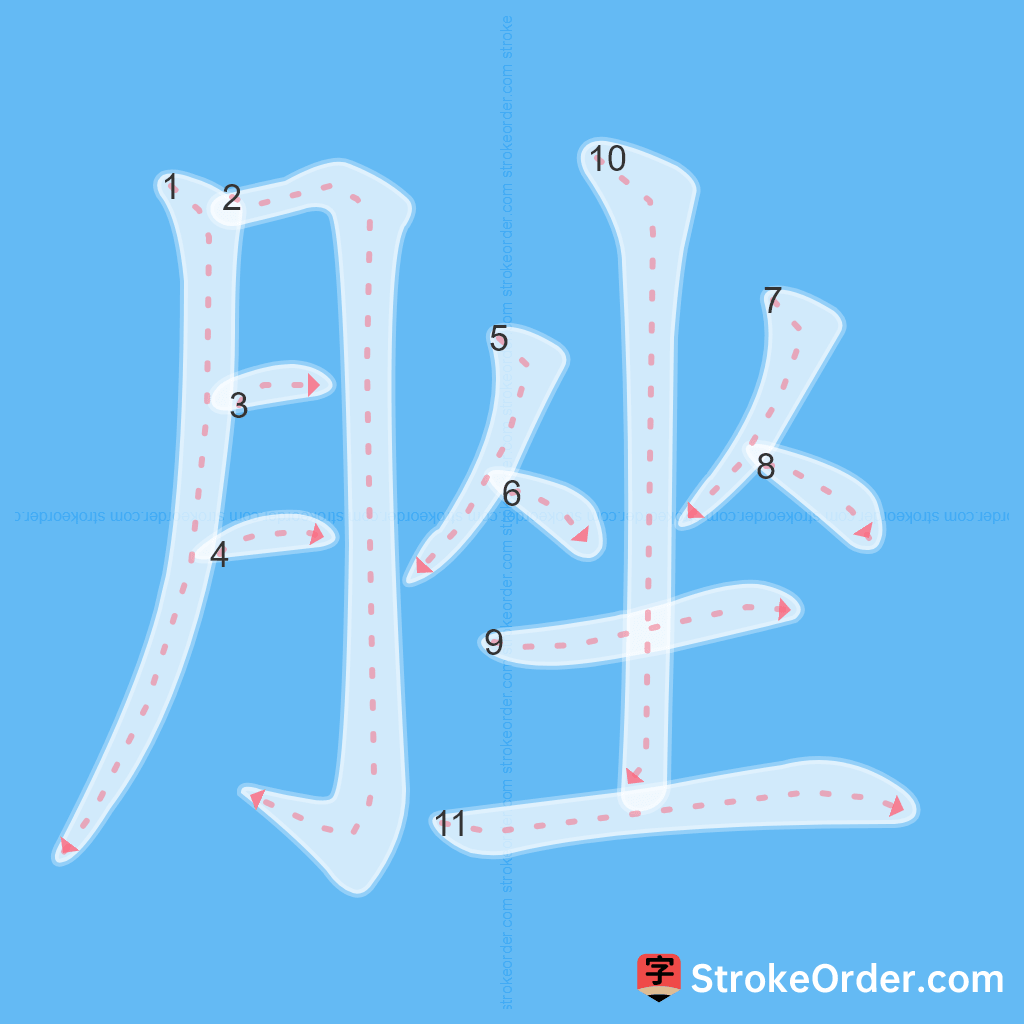 Standard stroke order for the Chinese character 脞
