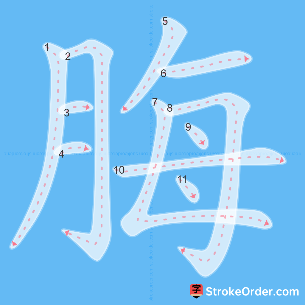 Standard stroke order for the Chinese character 脢