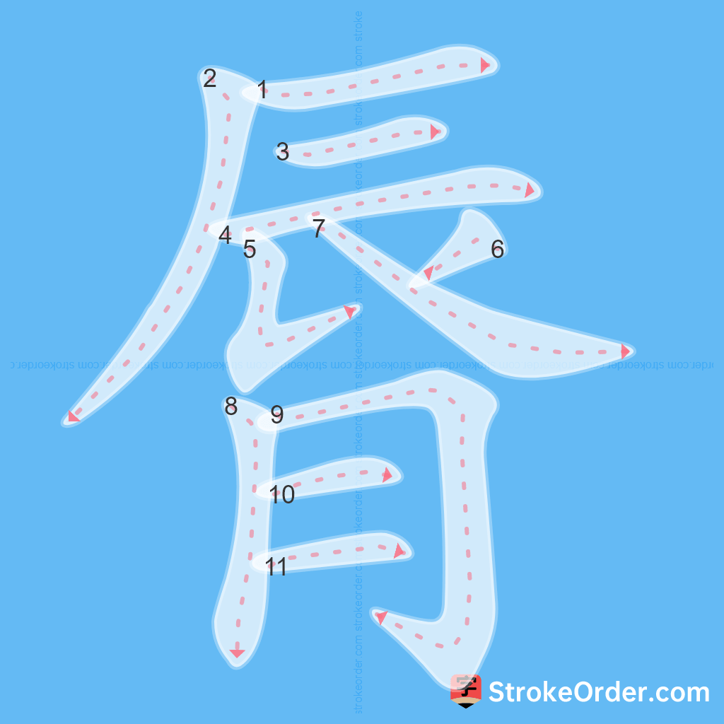 Standard stroke order for the Chinese character 脣