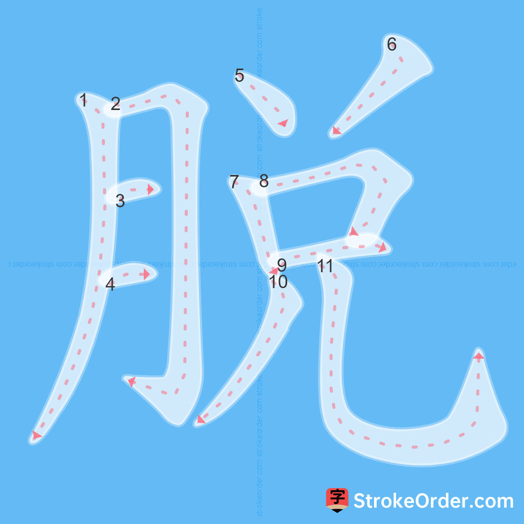 Standard stroke order for the Chinese character 脫