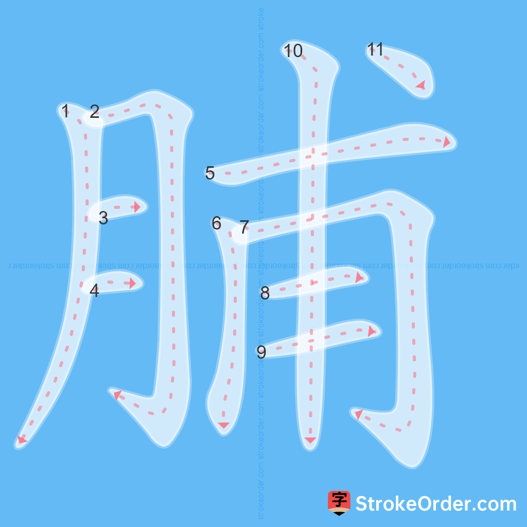 Standard stroke order for the Chinese character 脯