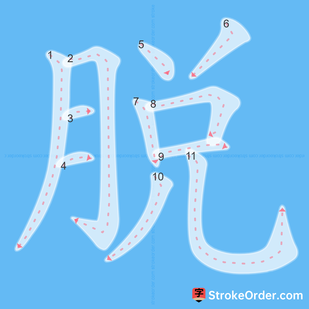 Standard stroke order for the Chinese character 脱
