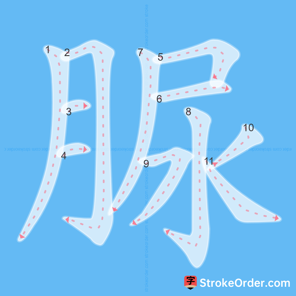 Standard stroke order for the Chinese character 脲