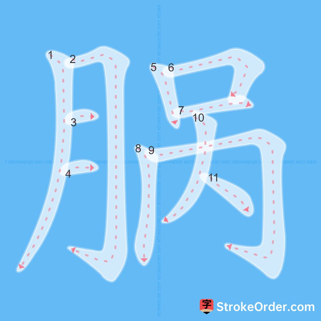Standard stroke order for the Chinese character 脶