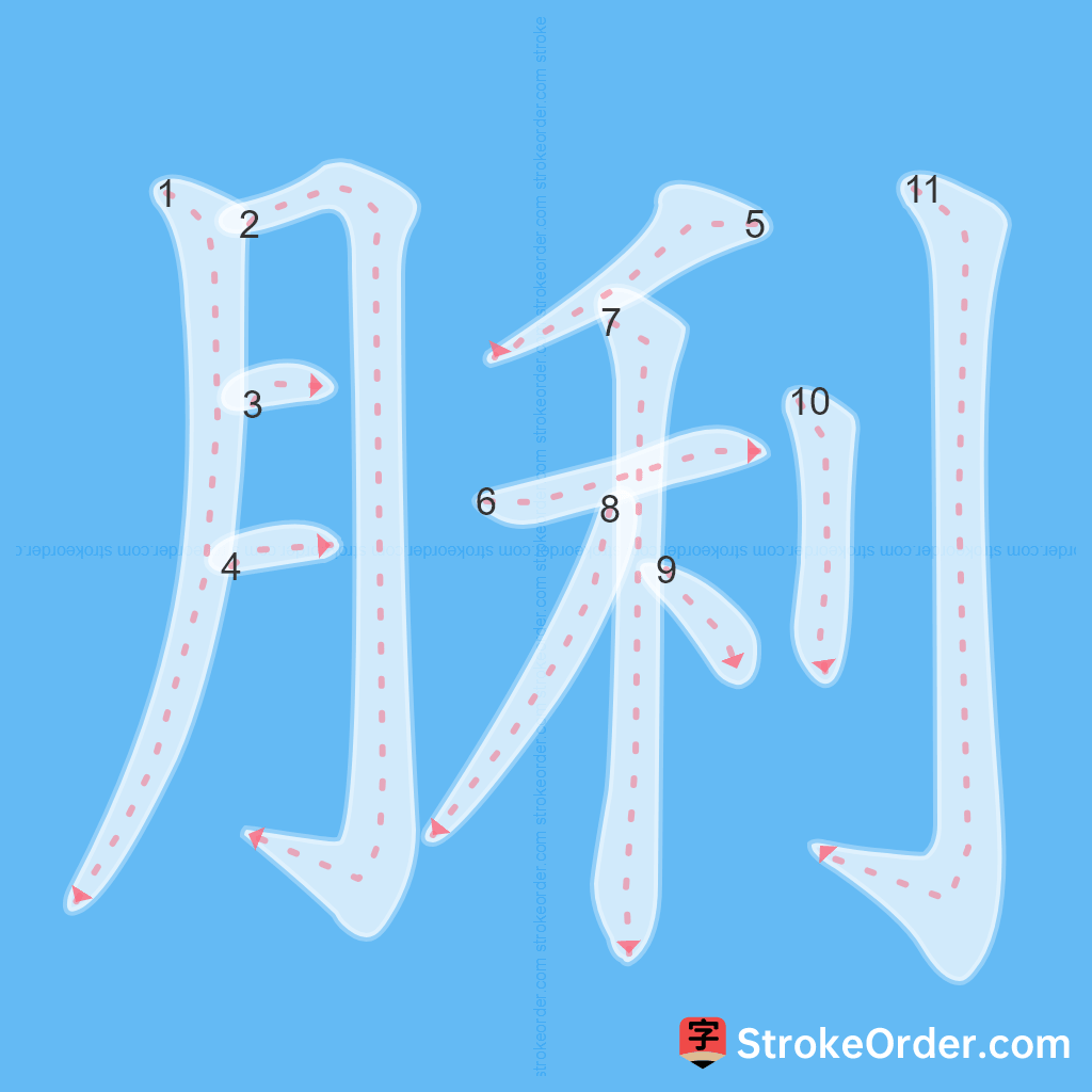 Standard stroke order for the Chinese character 脷