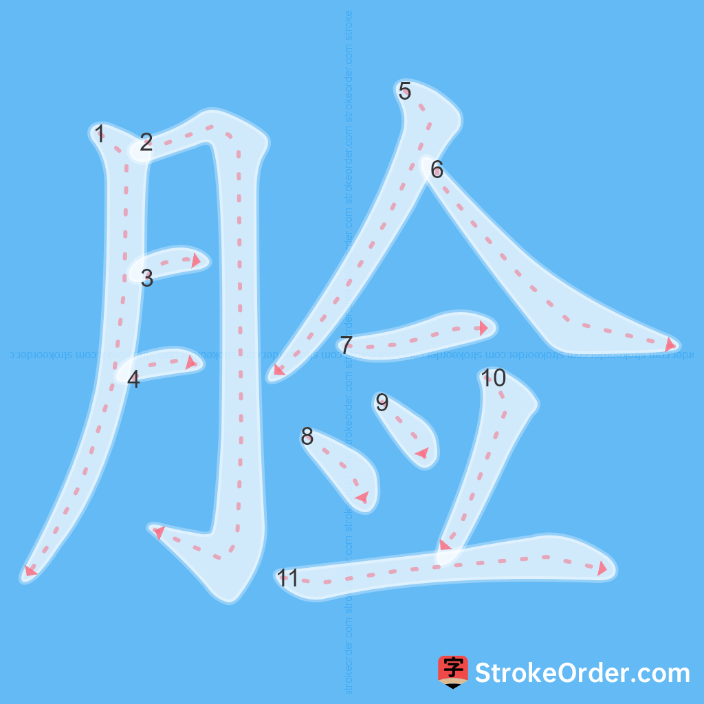 Standard stroke order for the Chinese character 脸