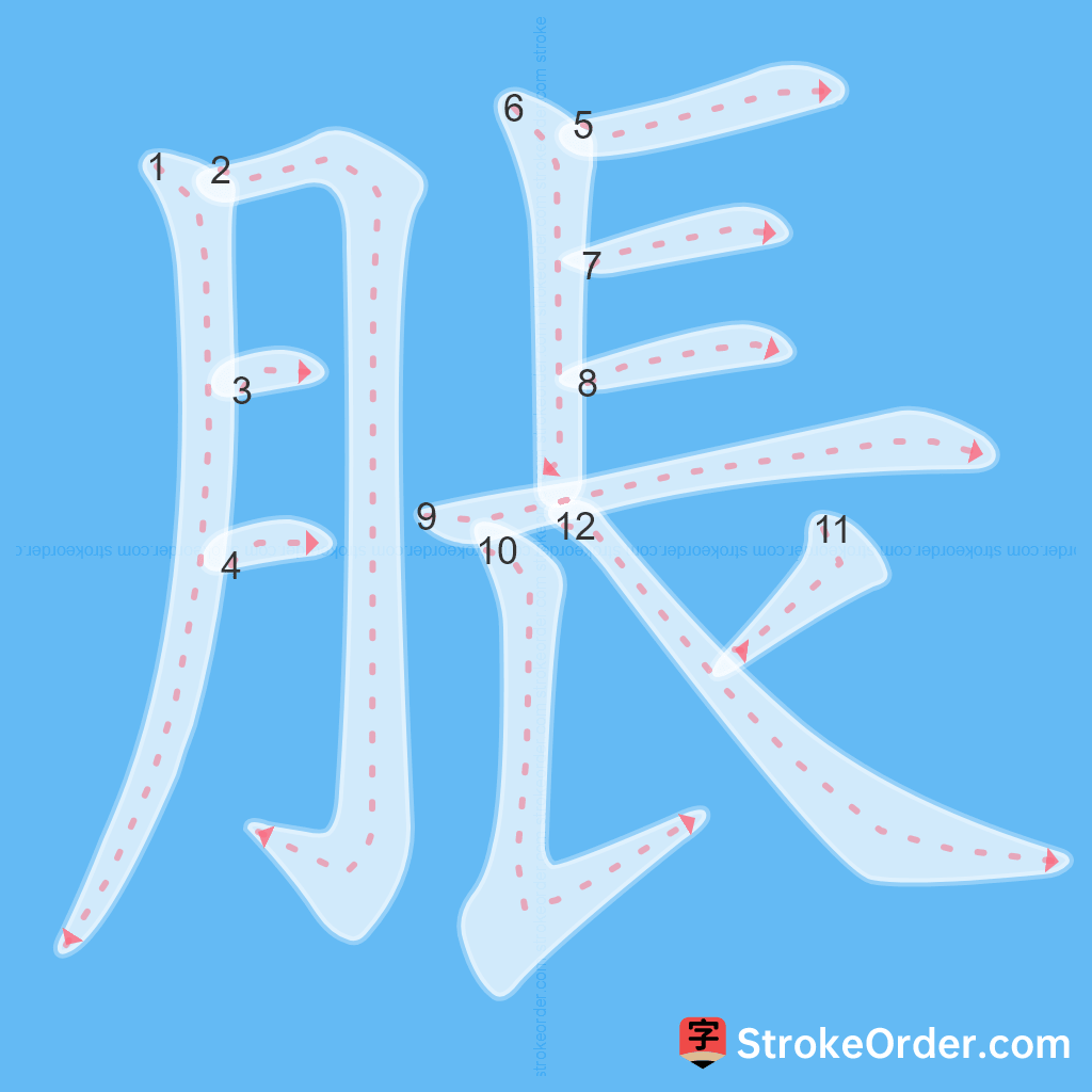 Standard stroke order for the Chinese character 脹