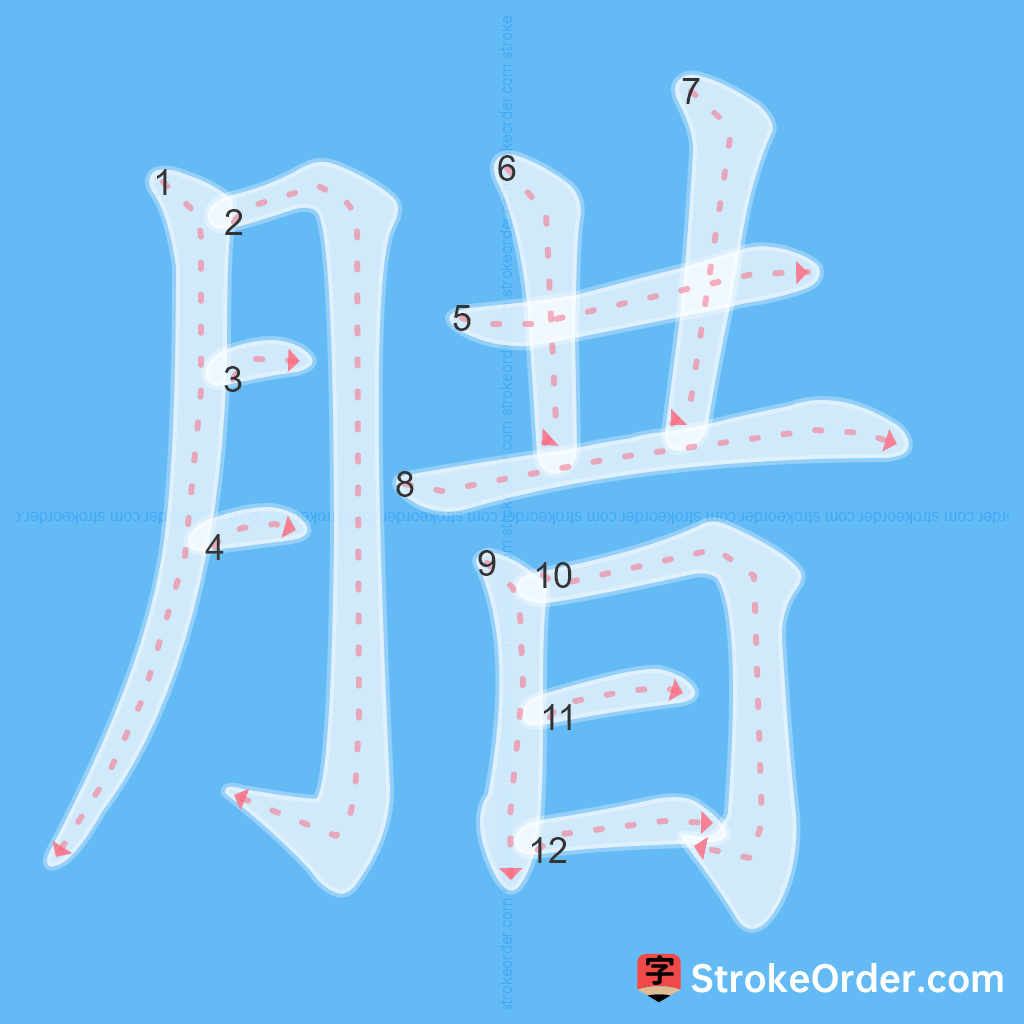 Standard stroke order for the Chinese character 腊