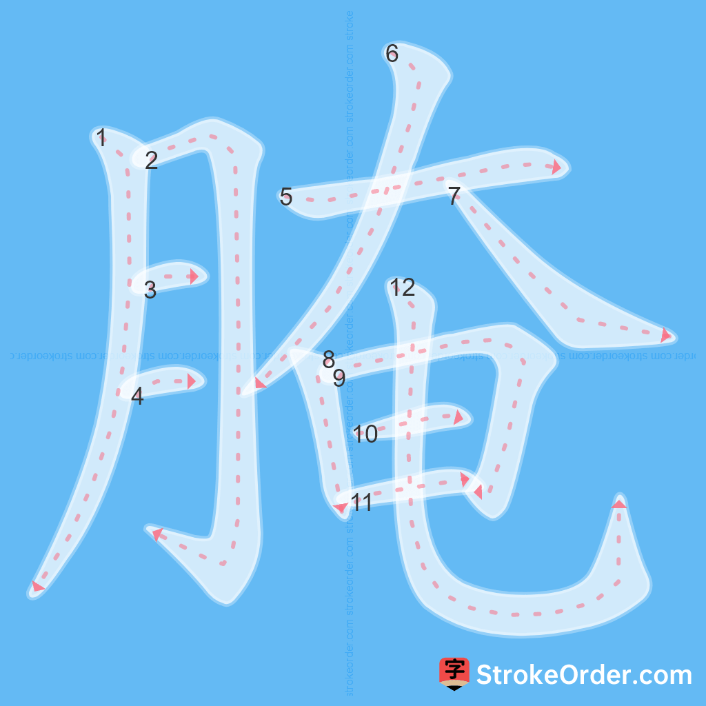 Standard stroke order for the Chinese character 腌