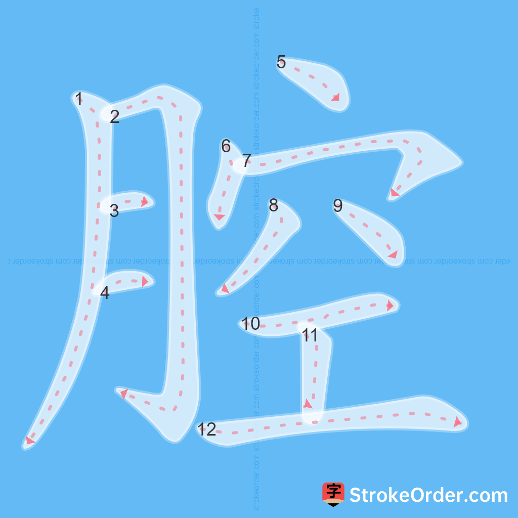 Standard stroke order for the Chinese character 腔