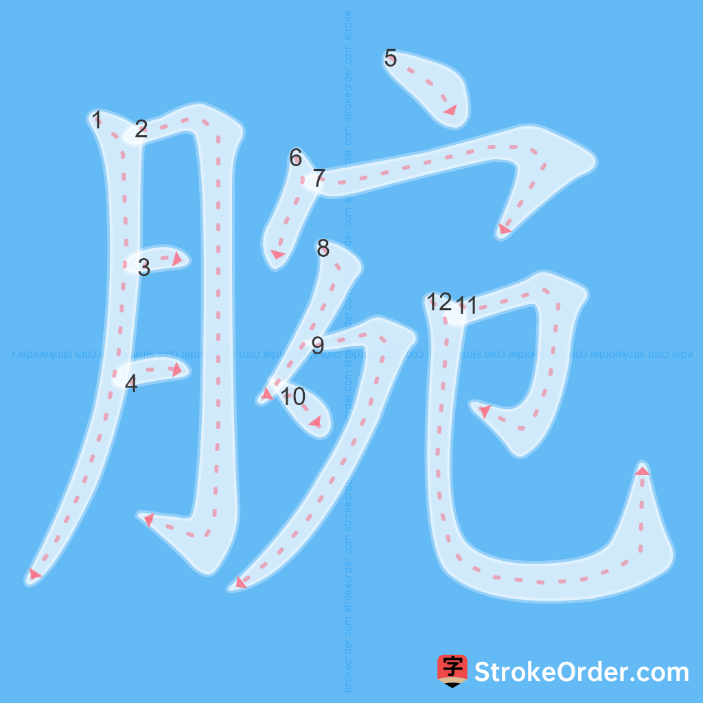 Standard stroke order for the Chinese character 腕