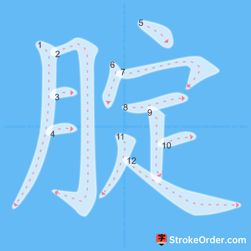 Standard stroke order for the Chinese character 腚