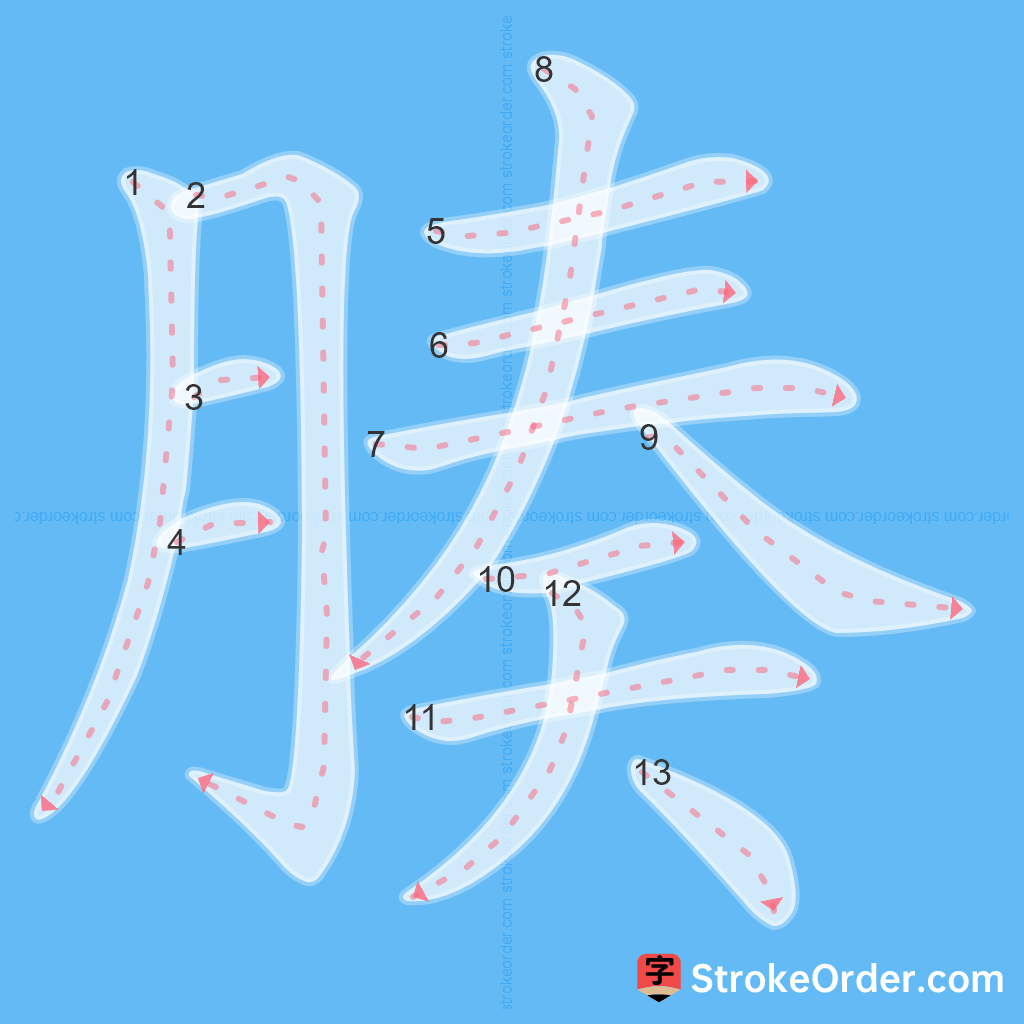 Standard stroke order for the Chinese character 腠