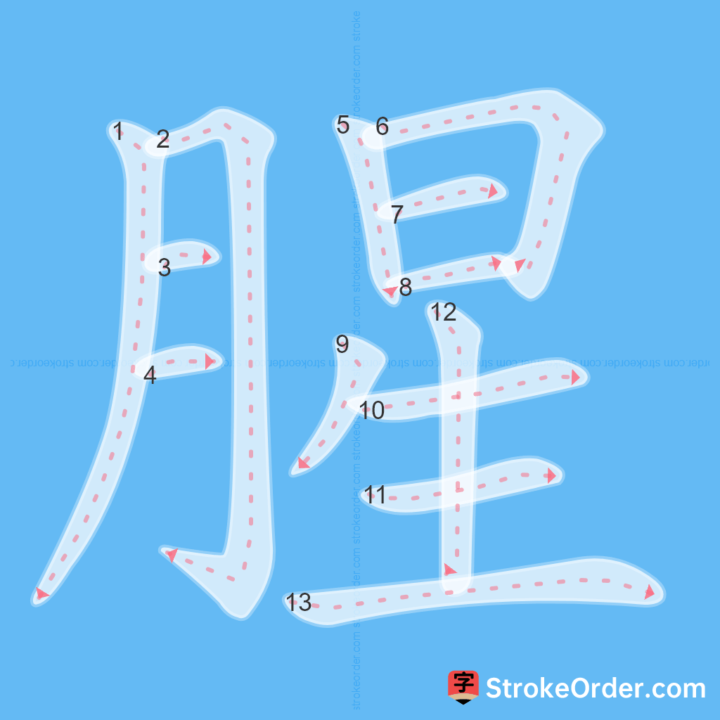 Standard stroke order for the Chinese character 腥