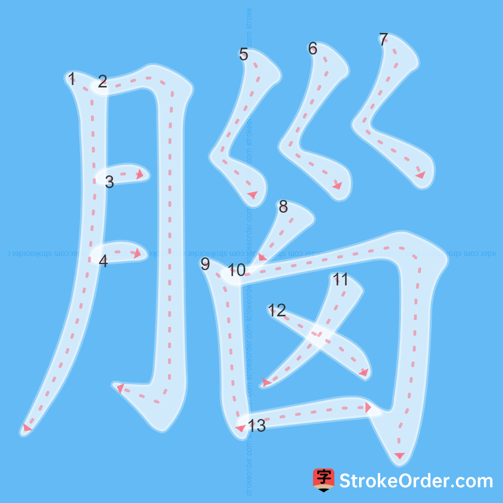 Standard stroke order for the Chinese character 腦