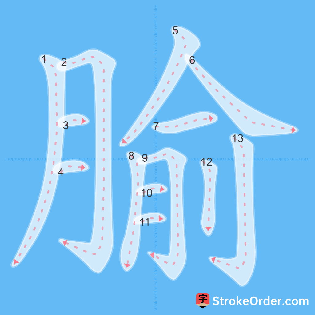 Standard stroke order for the Chinese character 腧