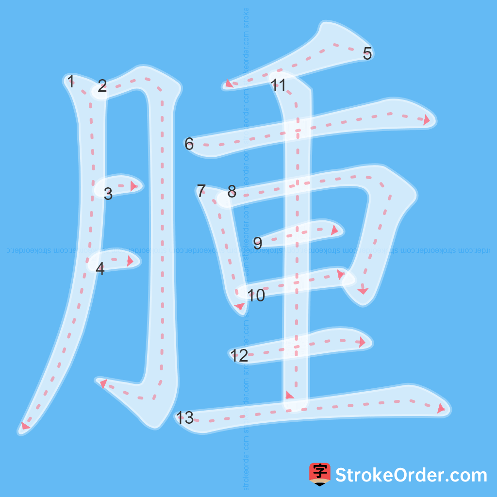 Standard stroke order for the Chinese character 腫