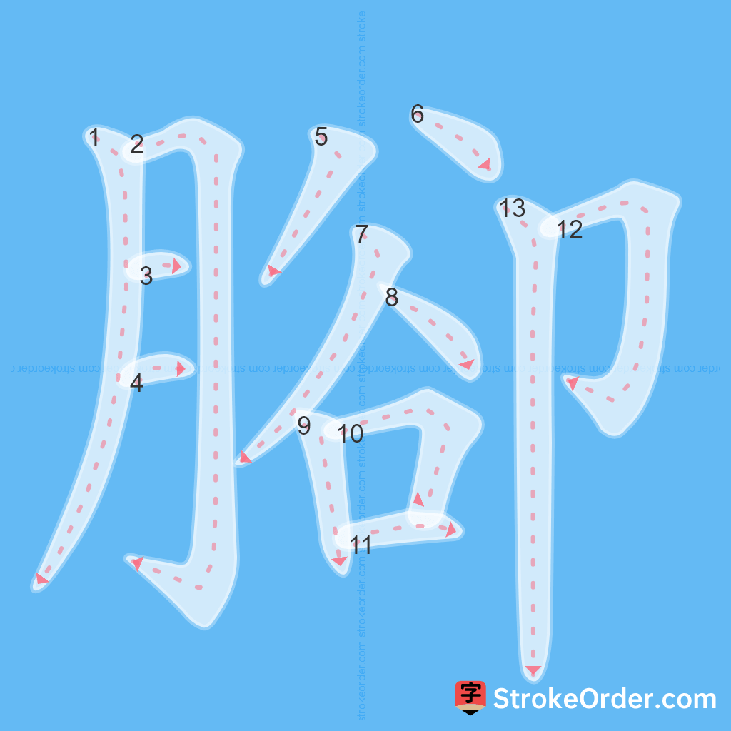 Standard stroke order for the Chinese character 腳