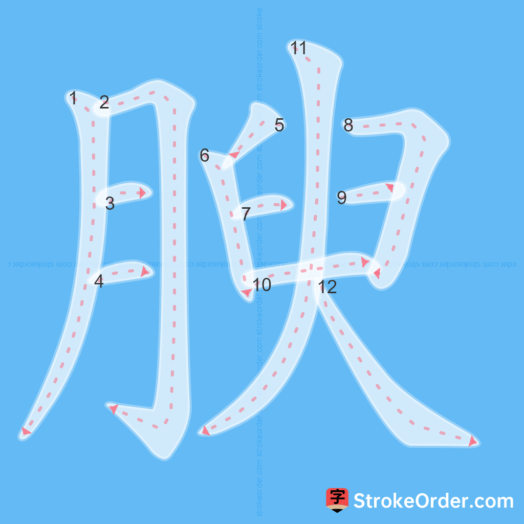Standard stroke order for the Chinese character 腴