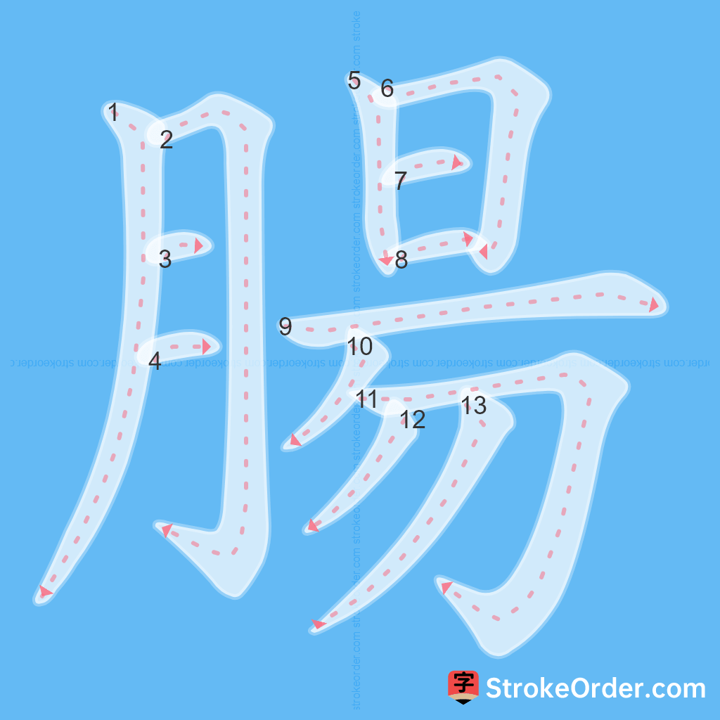 Standard stroke order for the Chinese character 腸