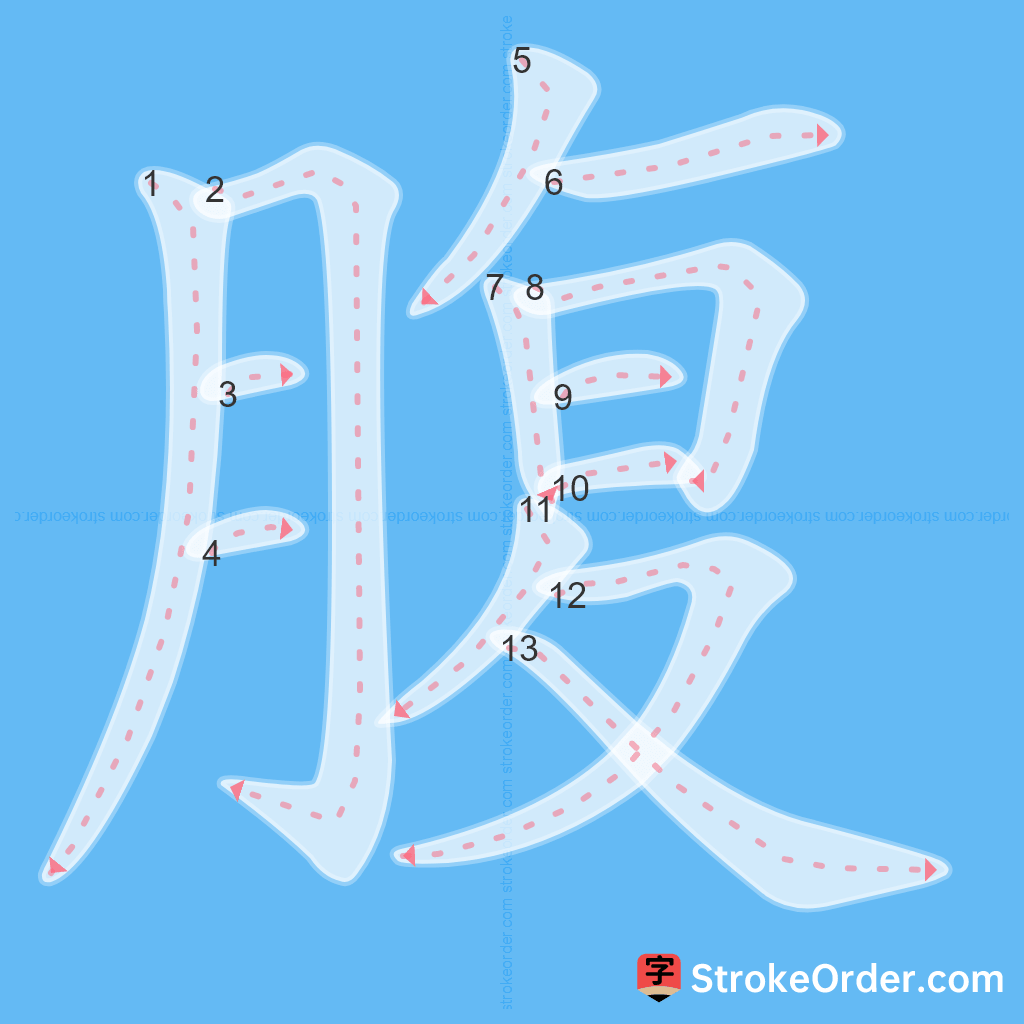 Standard stroke order for the Chinese character 腹