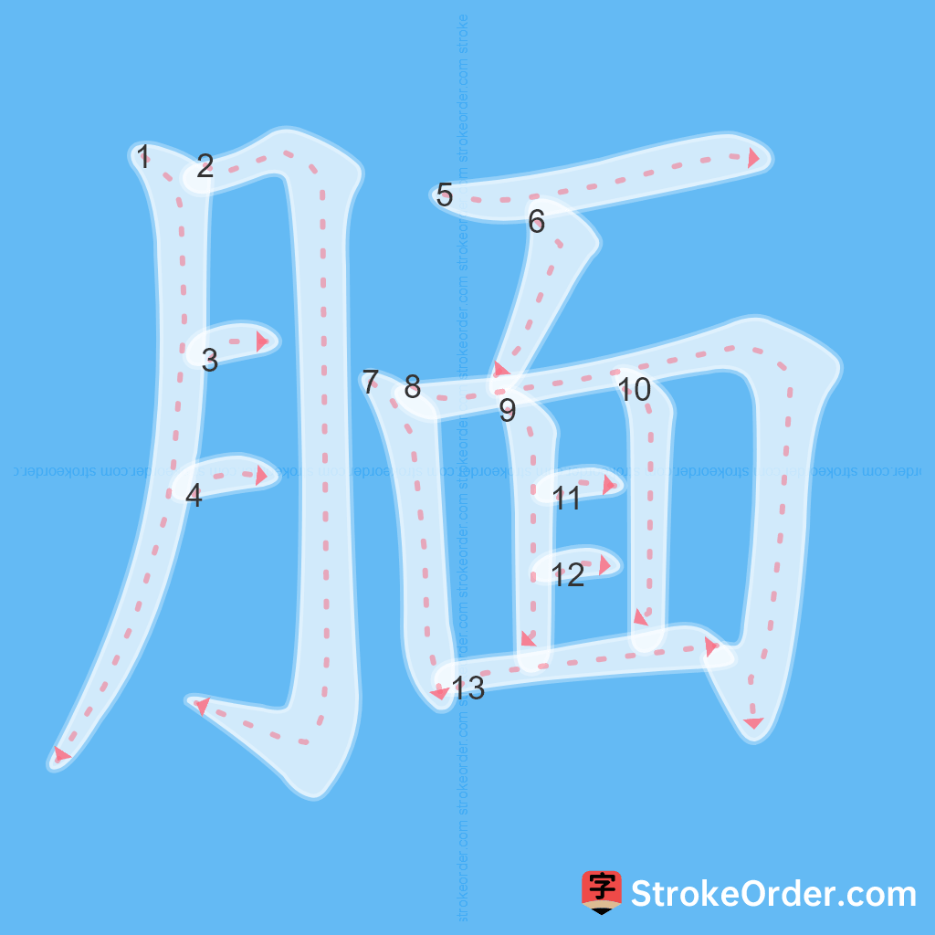 Standard stroke order for the Chinese character 腼