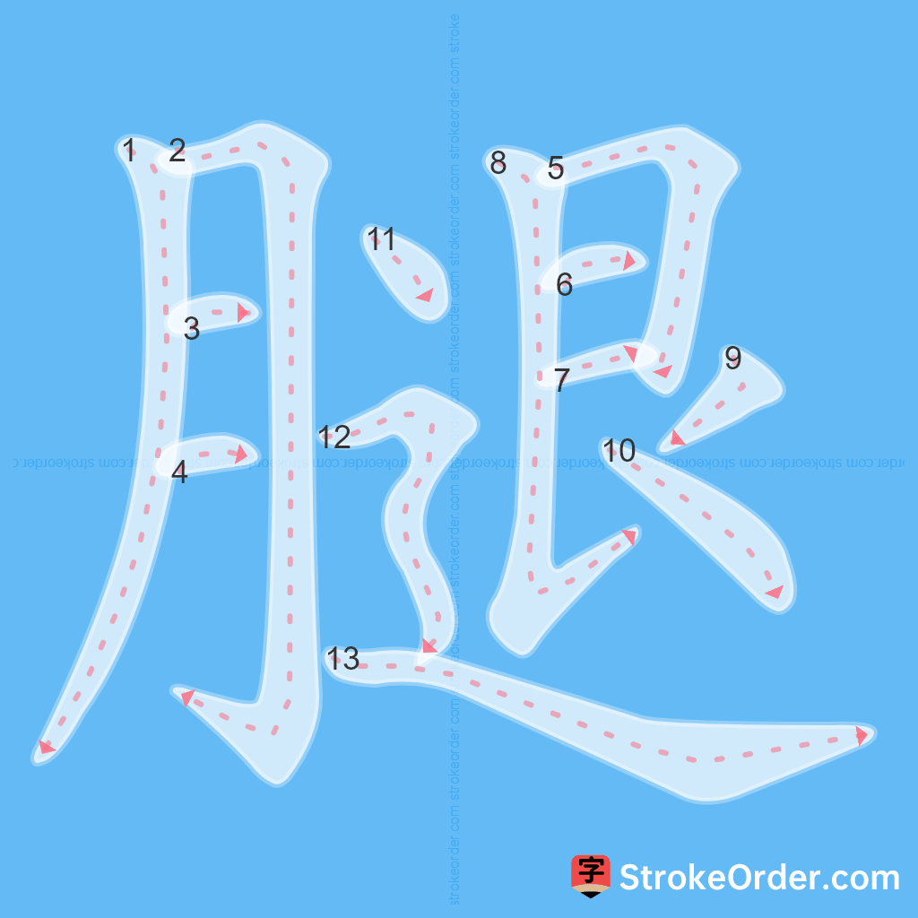 Standard stroke order for the Chinese character 腿