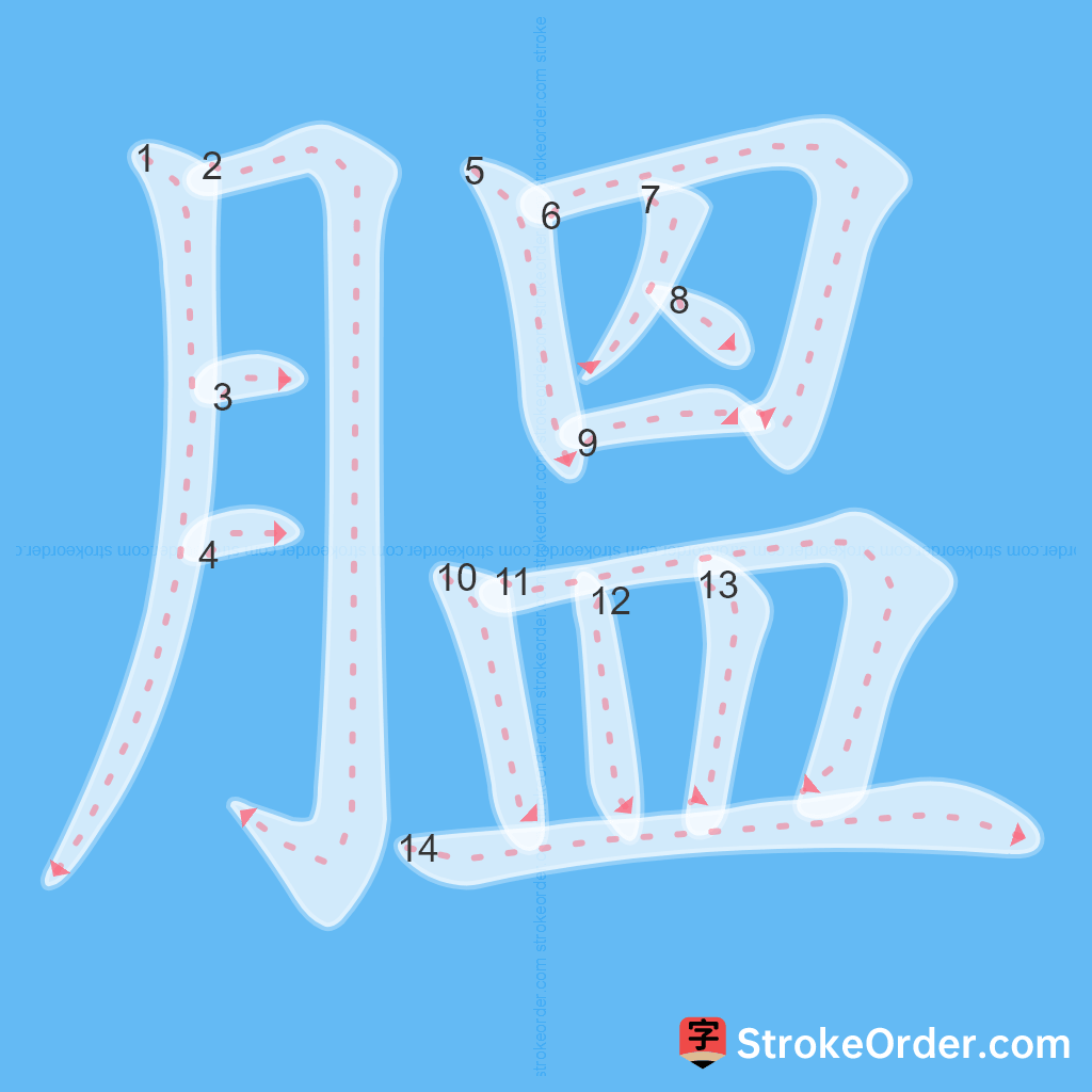 Standard stroke order for the Chinese character 膃
