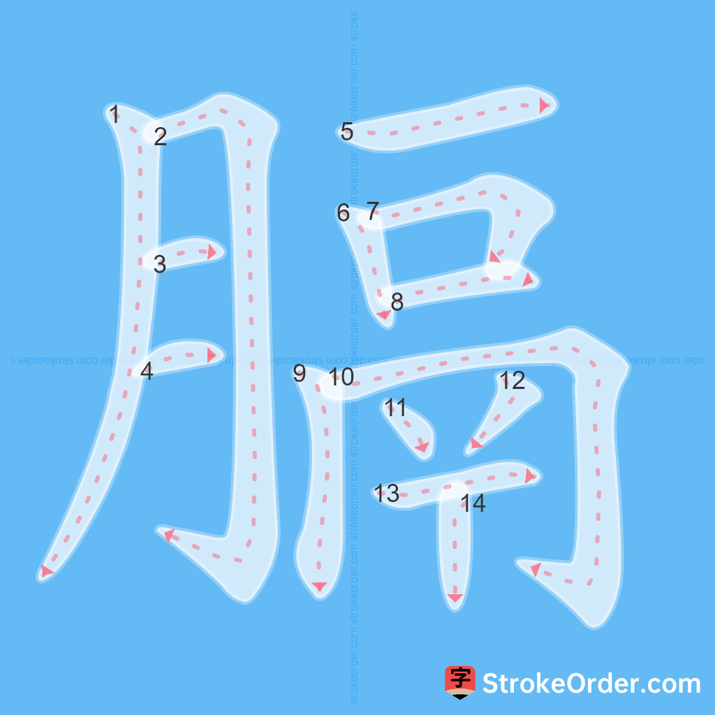 Standard stroke order for the Chinese character 膈