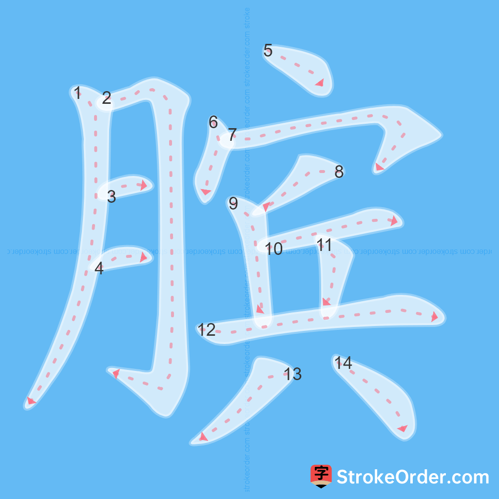 Standard stroke order for the Chinese character 膑