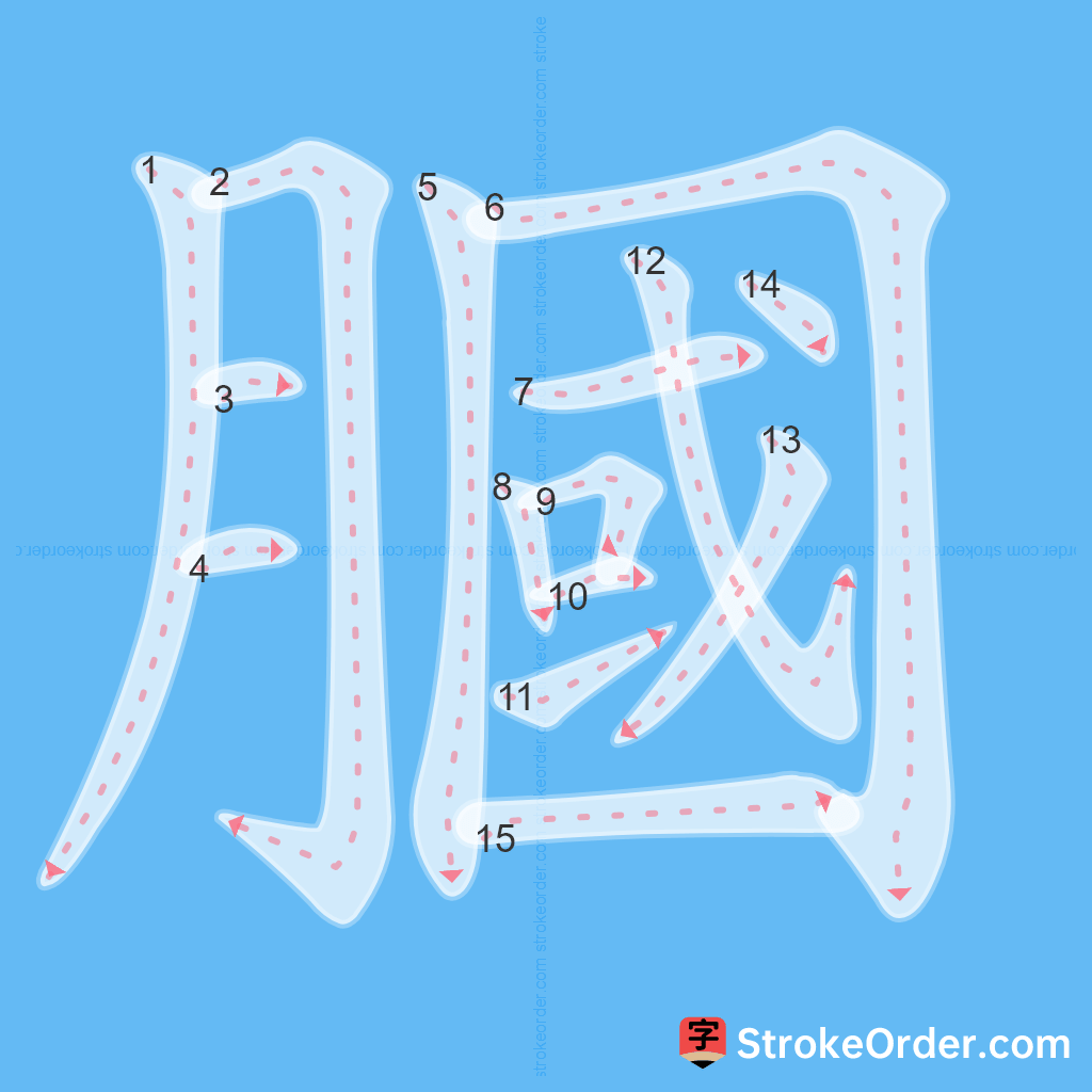 Standard stroke order for the Chinese character 膕