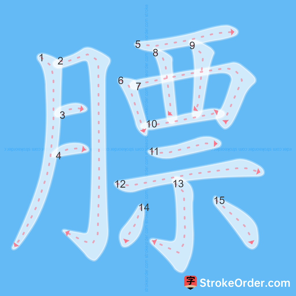 Standard stroke order for the Chinese character 膘