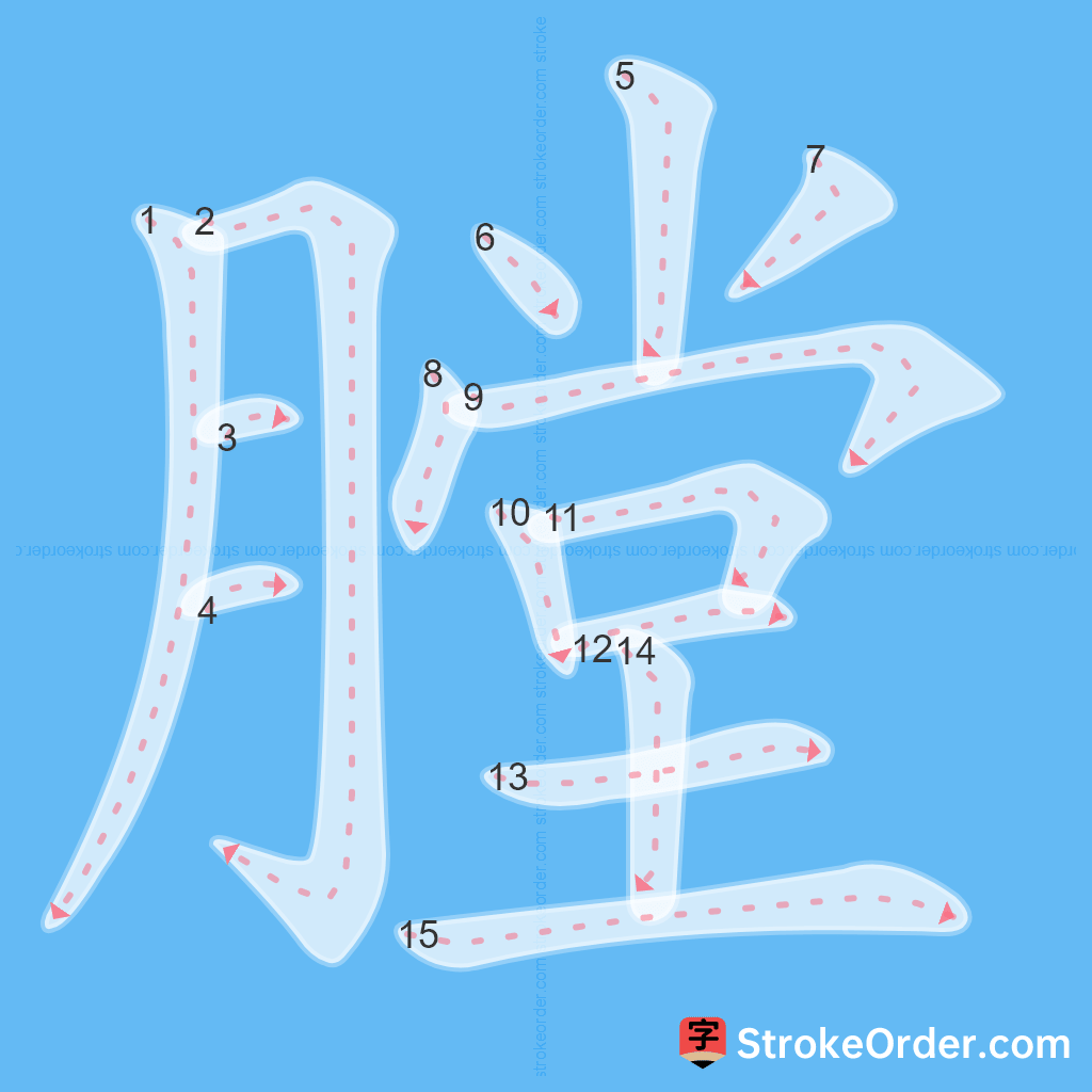 Standard stroke order for the Chinese character 膛