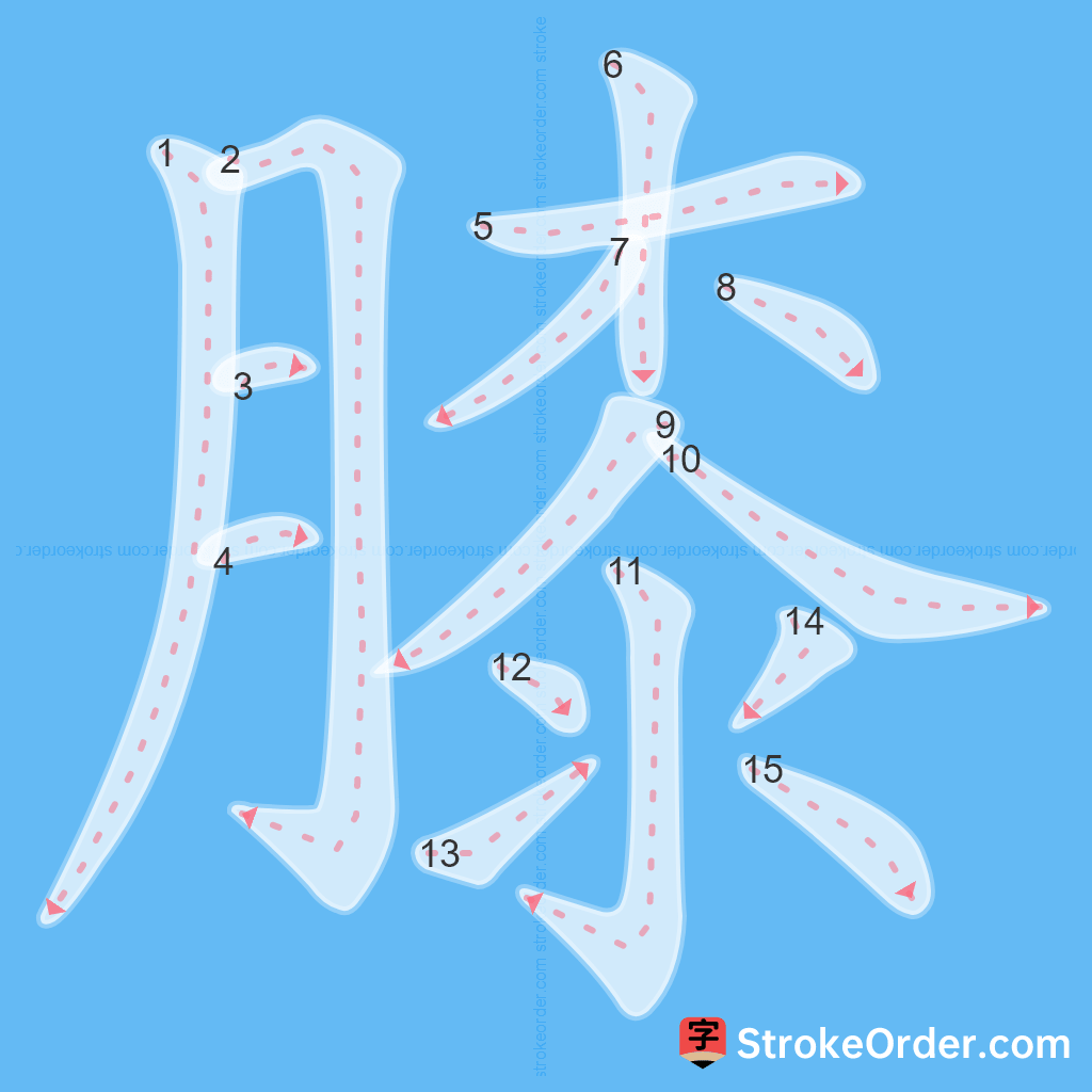 Standard stroke order for the Chinese character 膝